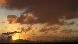 Courts Grant a Landmark Climate Victory That Could Reshape the World